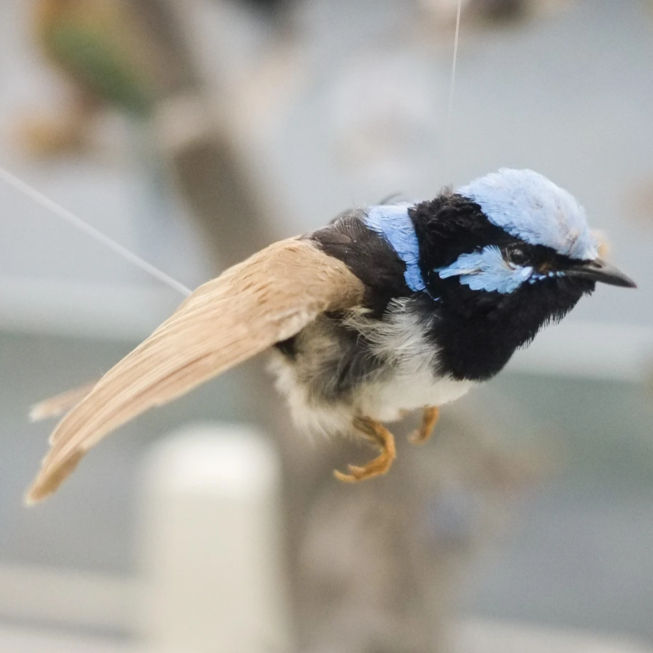 FlemCandango@easymode.im